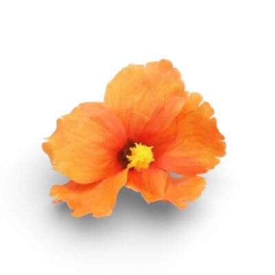 Pinche Flor para Cabello